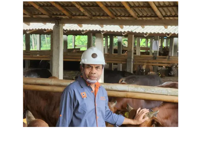 Siklus Emas di Kandang: Bioekonomi Sirkular ala Prof. Muhammad Bata